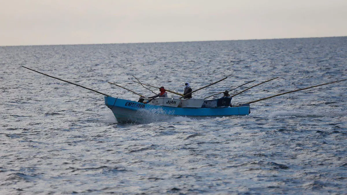 837216_Pesca Artesanal de Pulpo Maya_web
