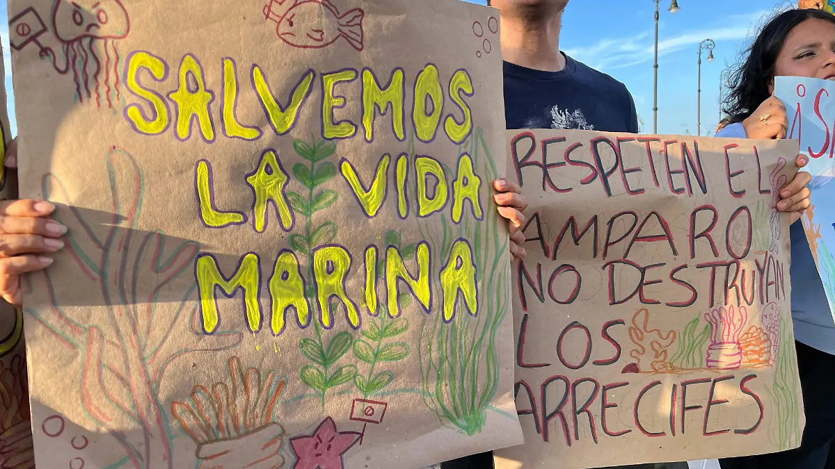Ambientalistas defienden arrecifes