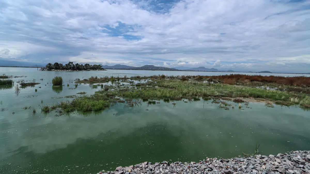 LAGO DE TEXCOCO roberto hernandez (5)