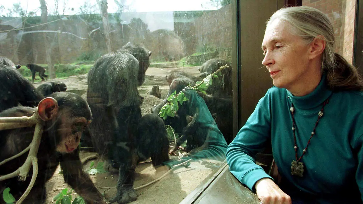 2025-10-01T182001Z_965394076_RC253HAIYKH0_RTRMADP_3_PEOPLE-JANE-GOODALL