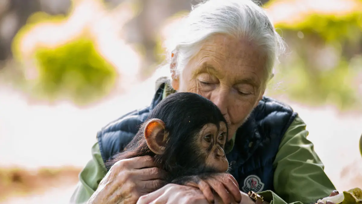 Jane Goodall