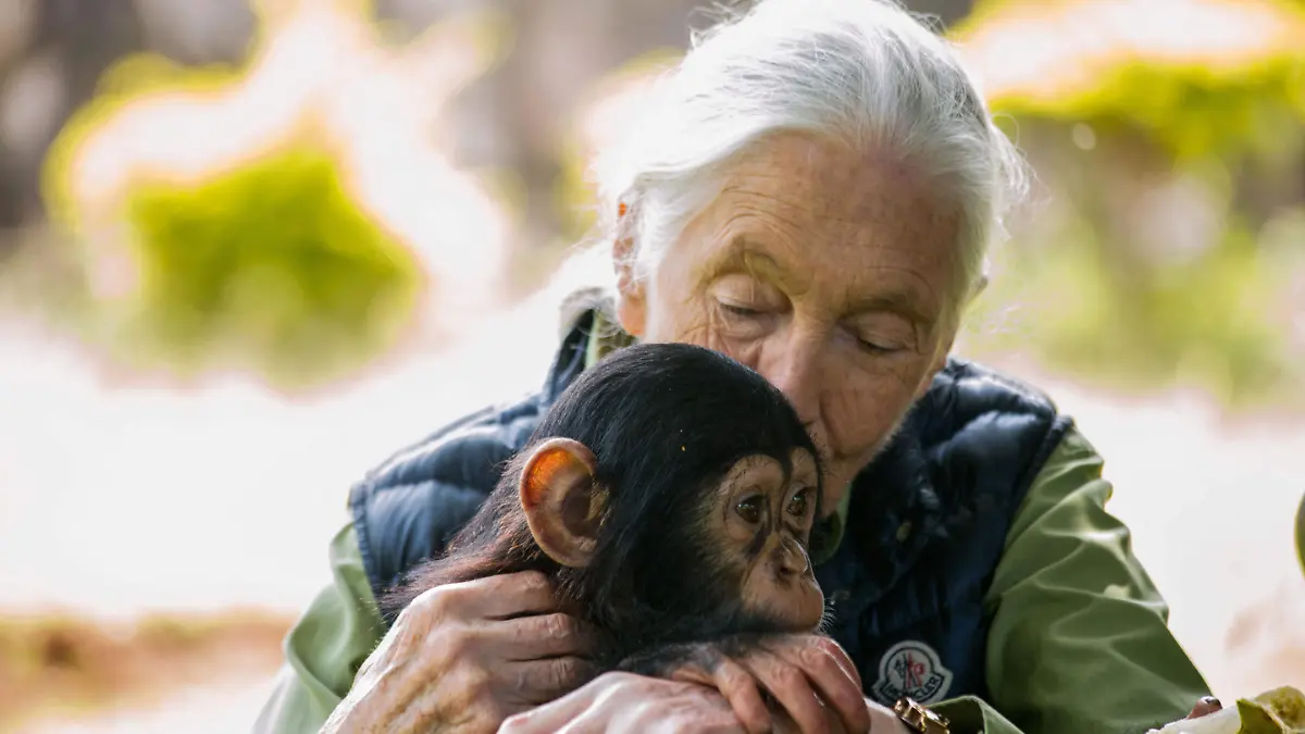 Jane Goodall
