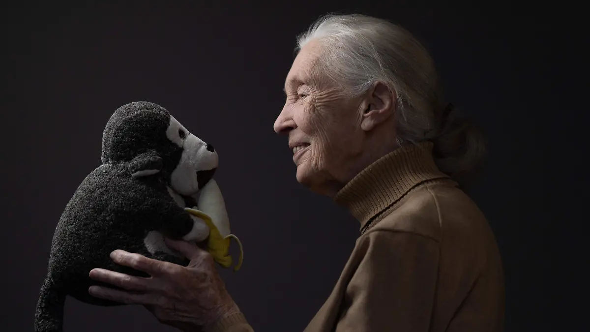 Jane Goodall