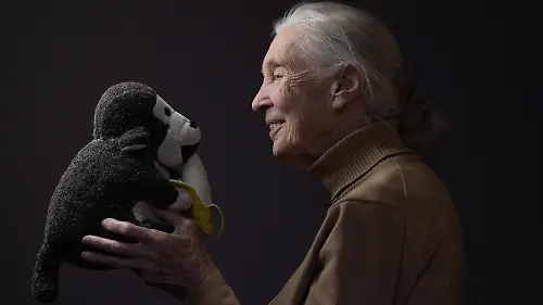 Jane Goodall 4