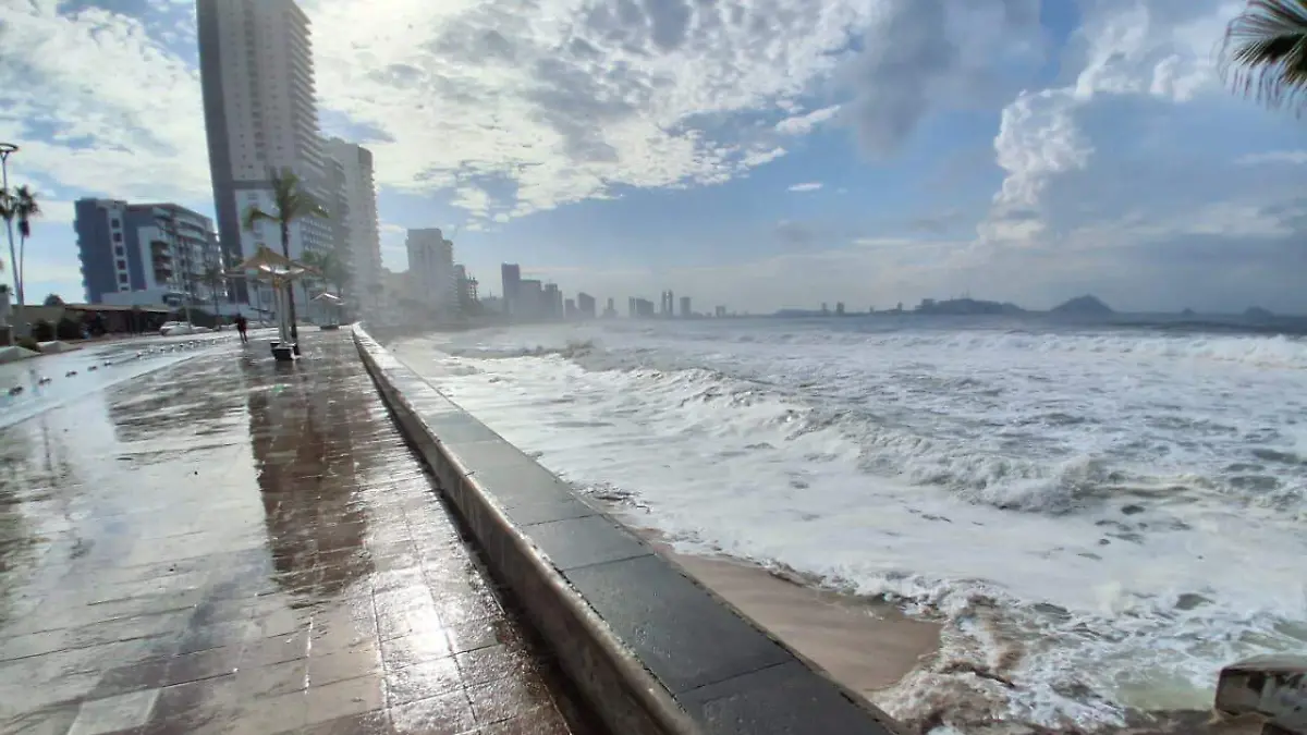 WhatsApp Image 2025-10-07 at 9.33.37 AM