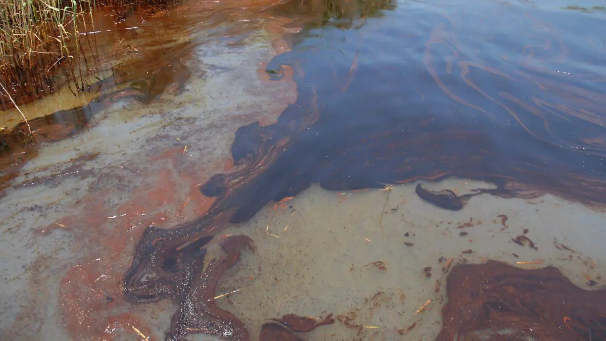 WhatsApp Image 2025-10-07 at 2.30.40 PM