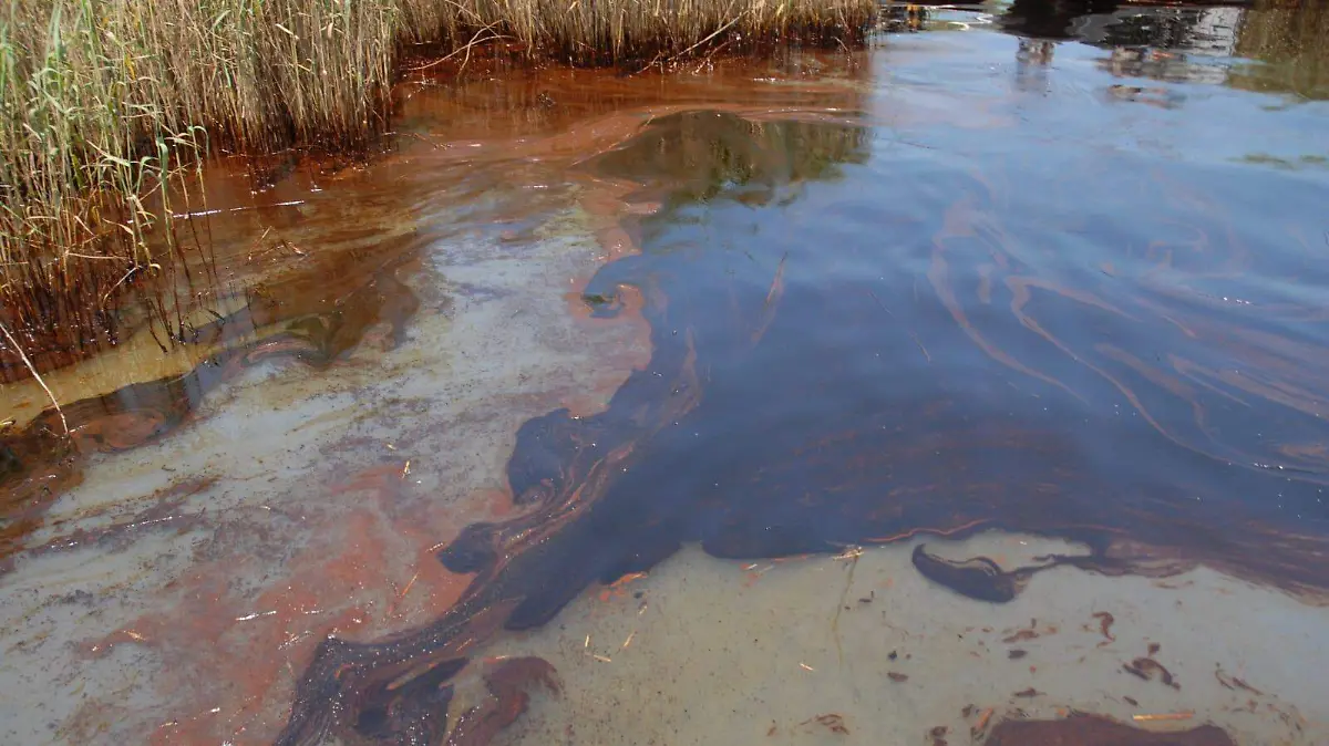 WhatsApp Image 2025-10-07 at 2.30.40 PM