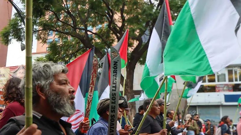 Marcha pro Palestina