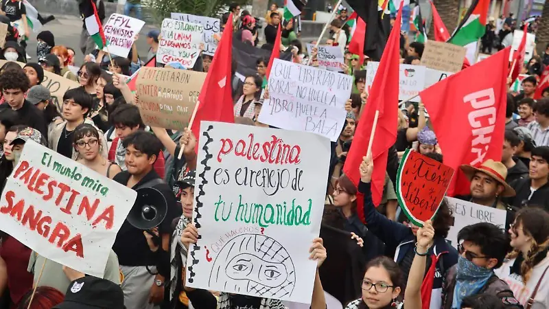 Marcha Pro Palestina