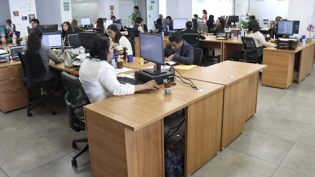 Computadoras-Oficinistas-Trabajadores-Tecnologia-57