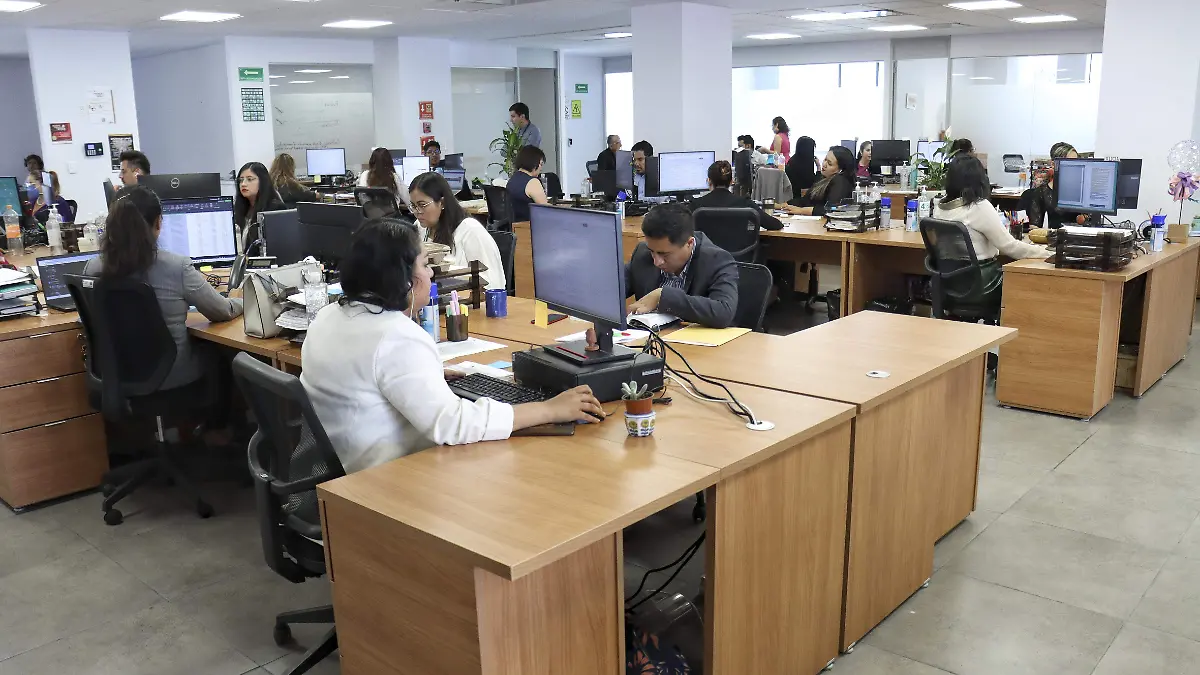 Computadoras-Oficinistas-Trabajadores-Tecnologia-57