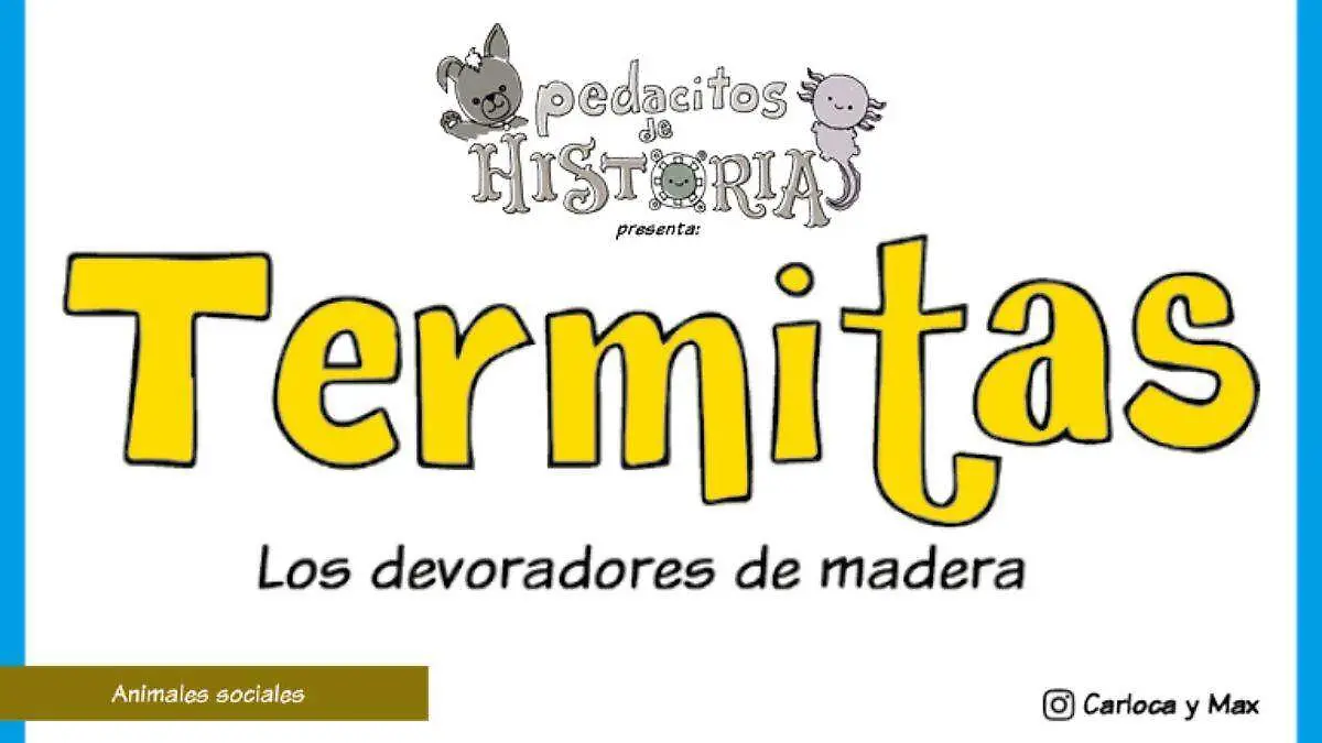 Pedacitos