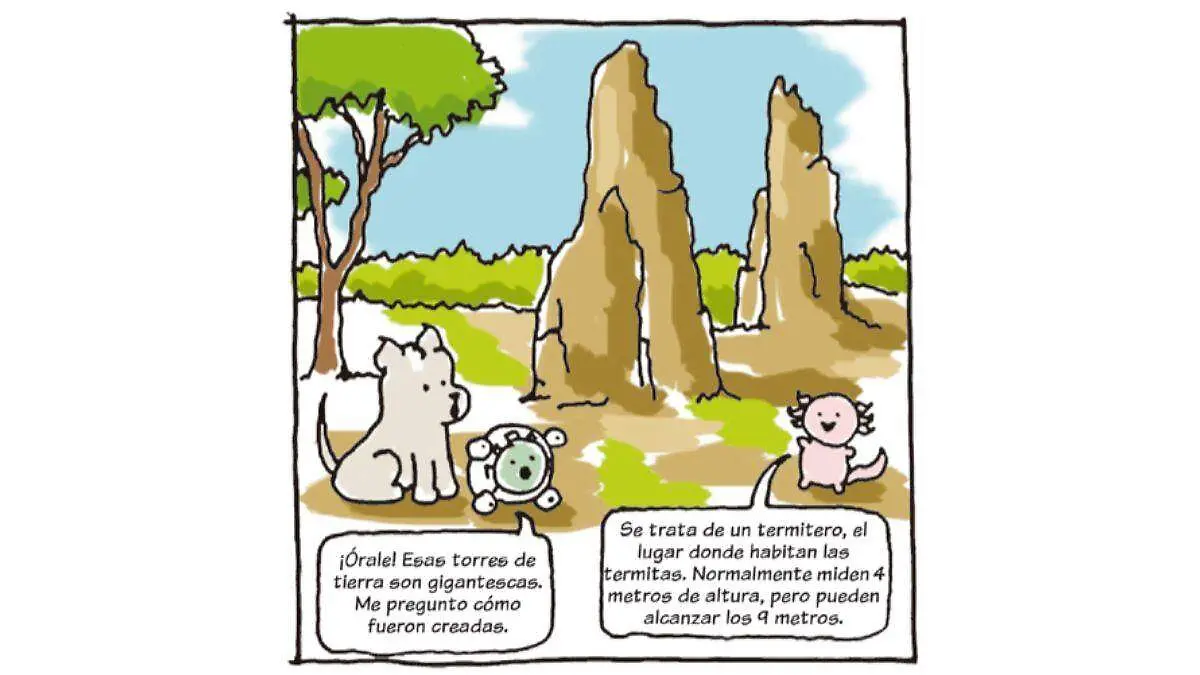 Pedacitos (1).jpg