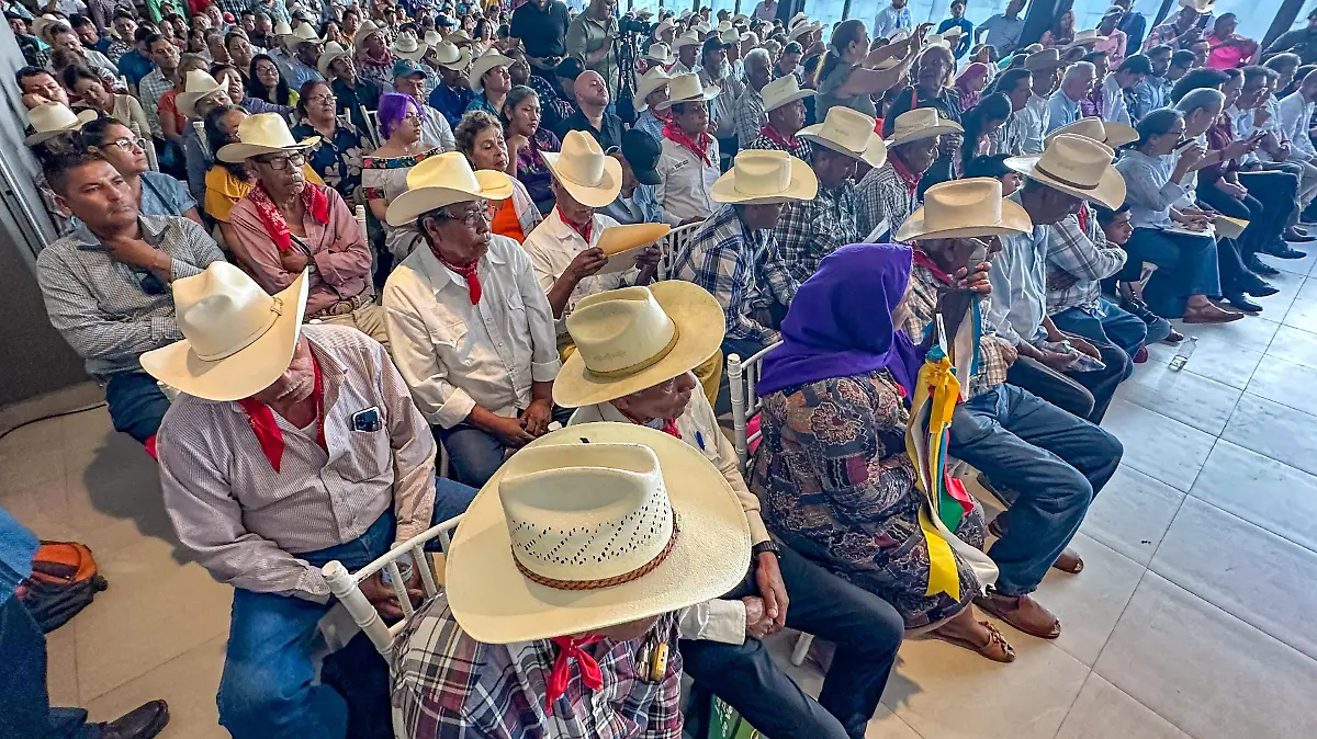 WhatsApp Image 2025-10-13 at 18.35.10.jpeg