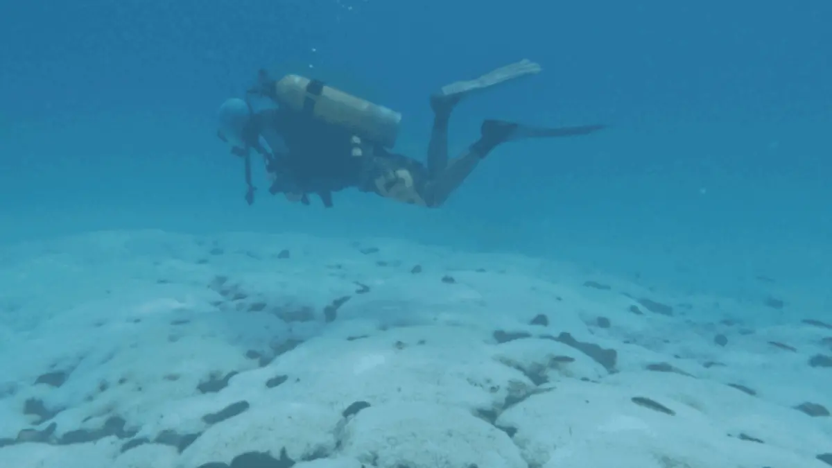 Un buzo evalúa la supervivencia de pólipos de los corales blanqueados en el Parque Nacional Huatulco