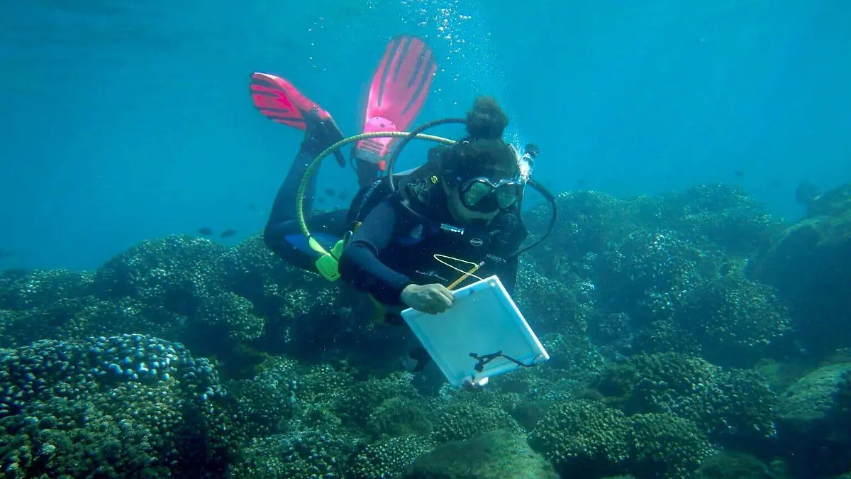 Gabriela García Vázquez, coordinadora de conservación de COSTASALVAJE, realizando monitoreo del arrecife coralino del Parque Nacional Huatulco