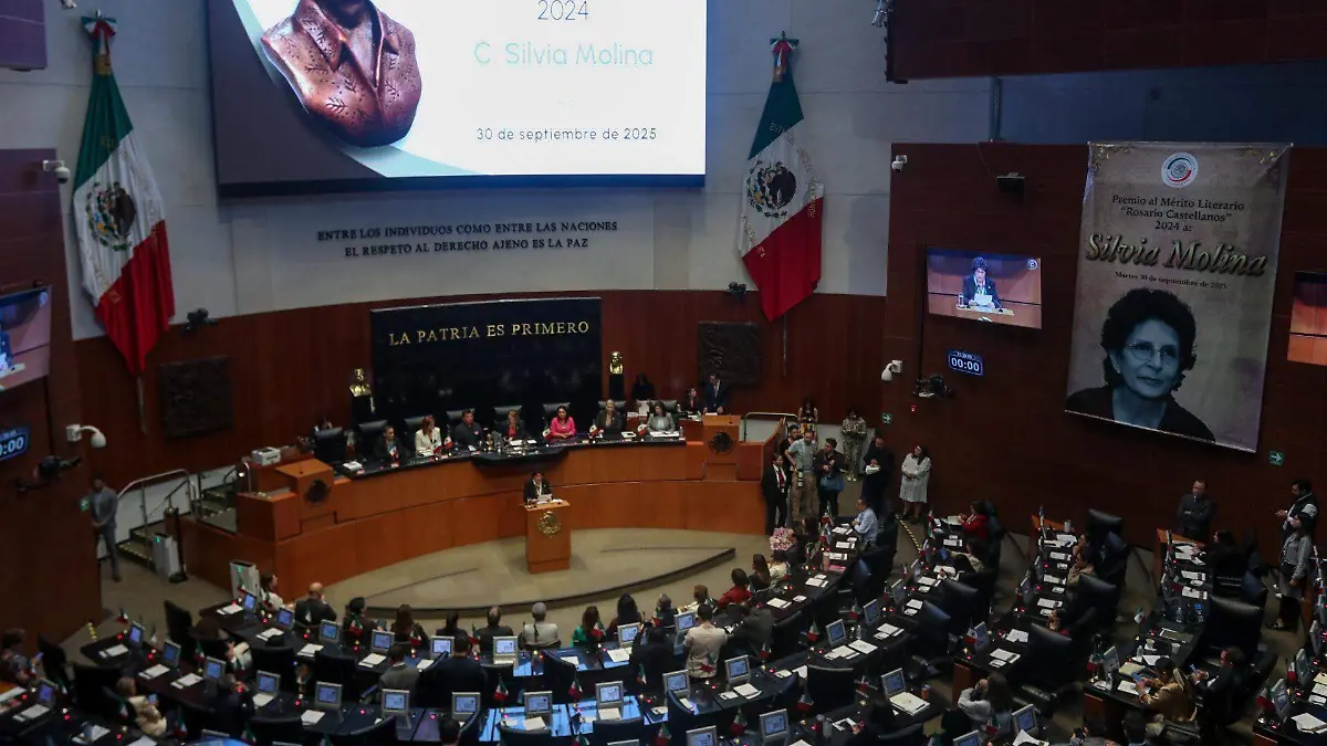 1049832_Sesión Solemne Senado_impreso