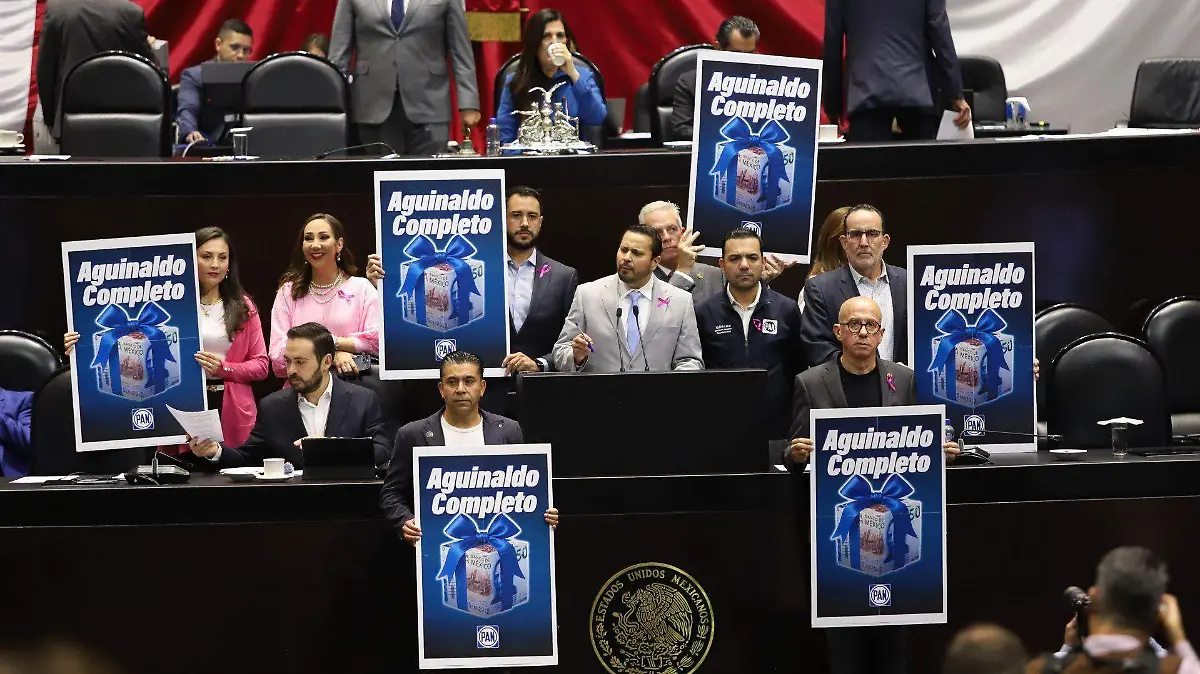1051061_Sesión Diputados_web