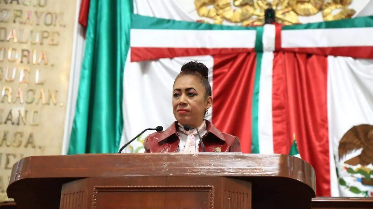 Diputada Rebeca Peralta