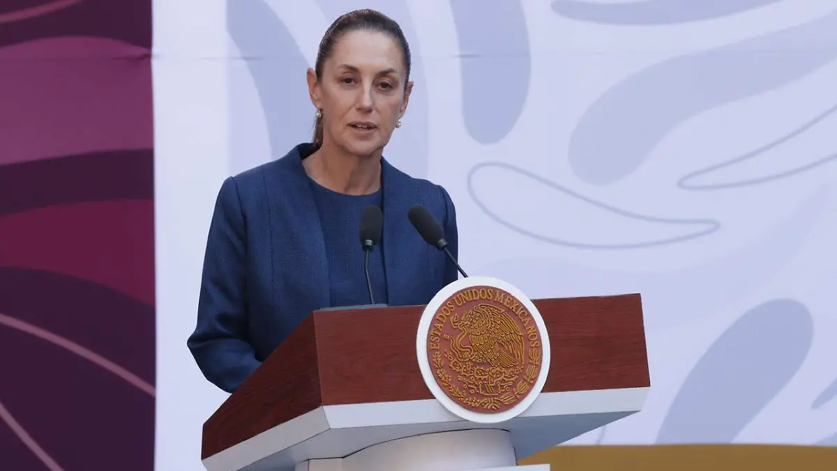 WhatsApp Image 2025-11-09 at 2.53.10 PM