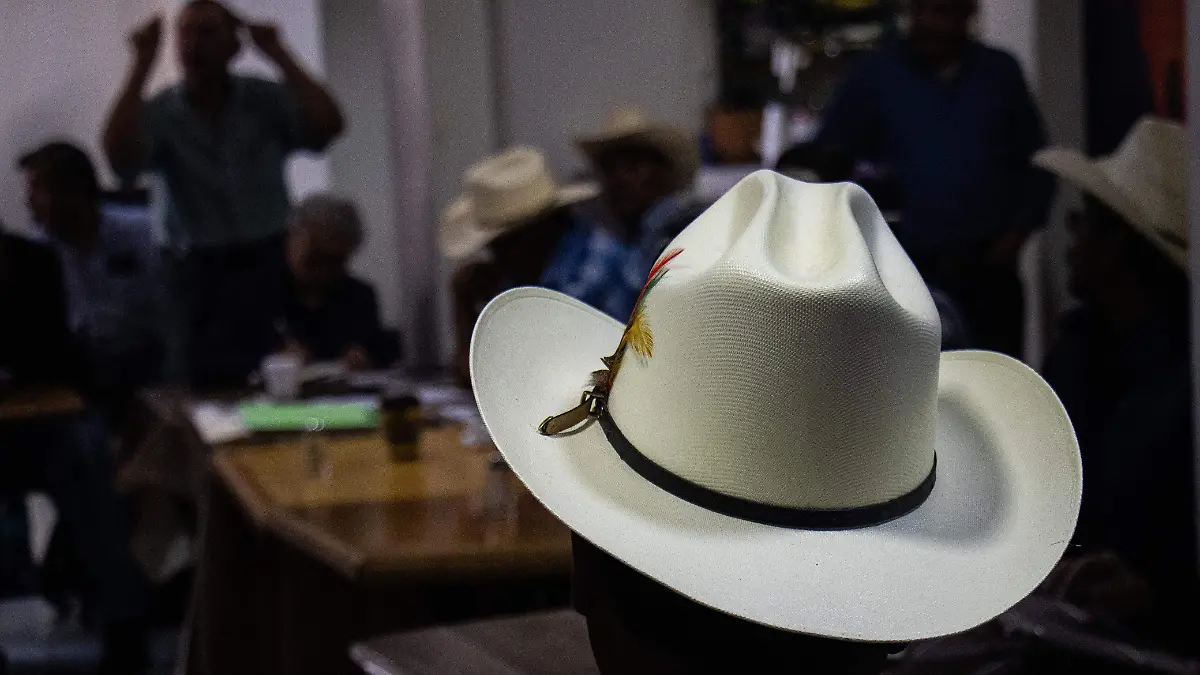 WhatsApp Image 2025-11-09 at 2.42.14 PM