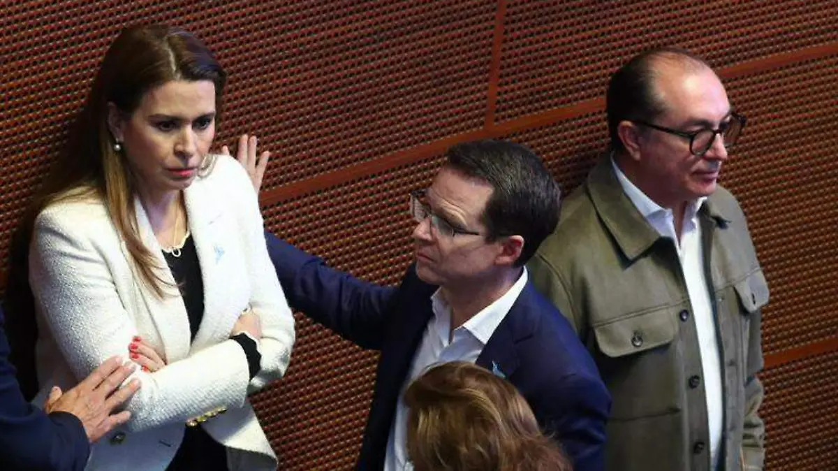 WhatsApp Image 2025-11-12 at 2.41.24 PM