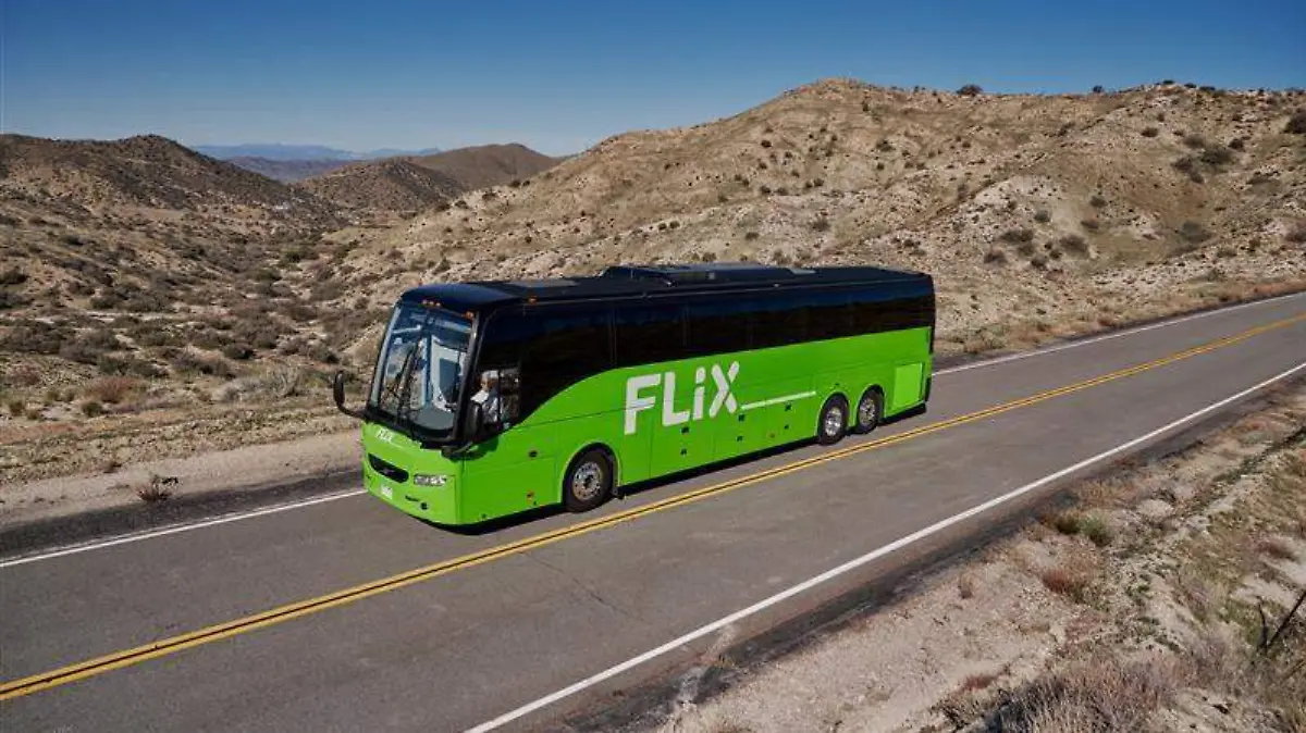 WhatsApp Image 2025-11-13 at 10.34.15 AM