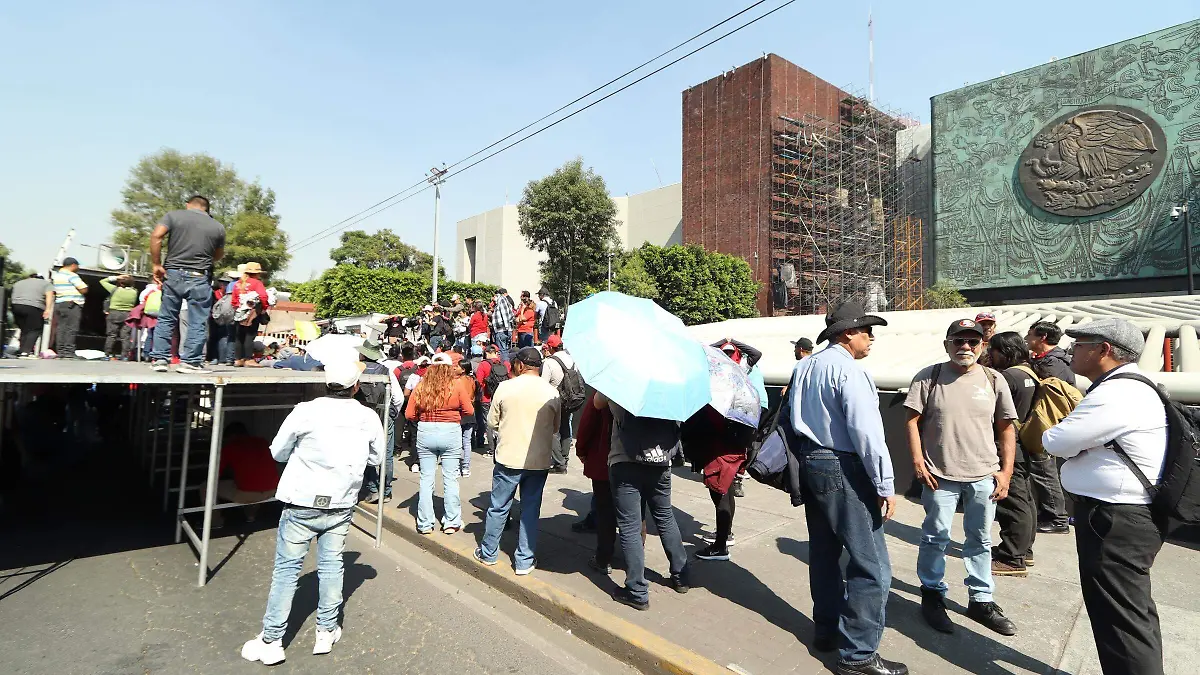 WhatsApp Image 2025-11-13 at 1.39.10 PM