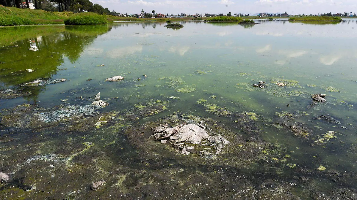 984988_Bordo de San Jerónimo poca agua y basura_web
