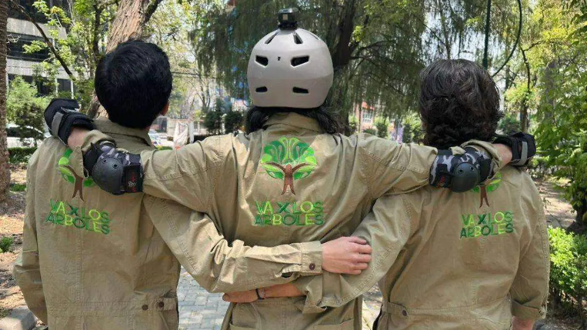 reforestamosmexicoorg