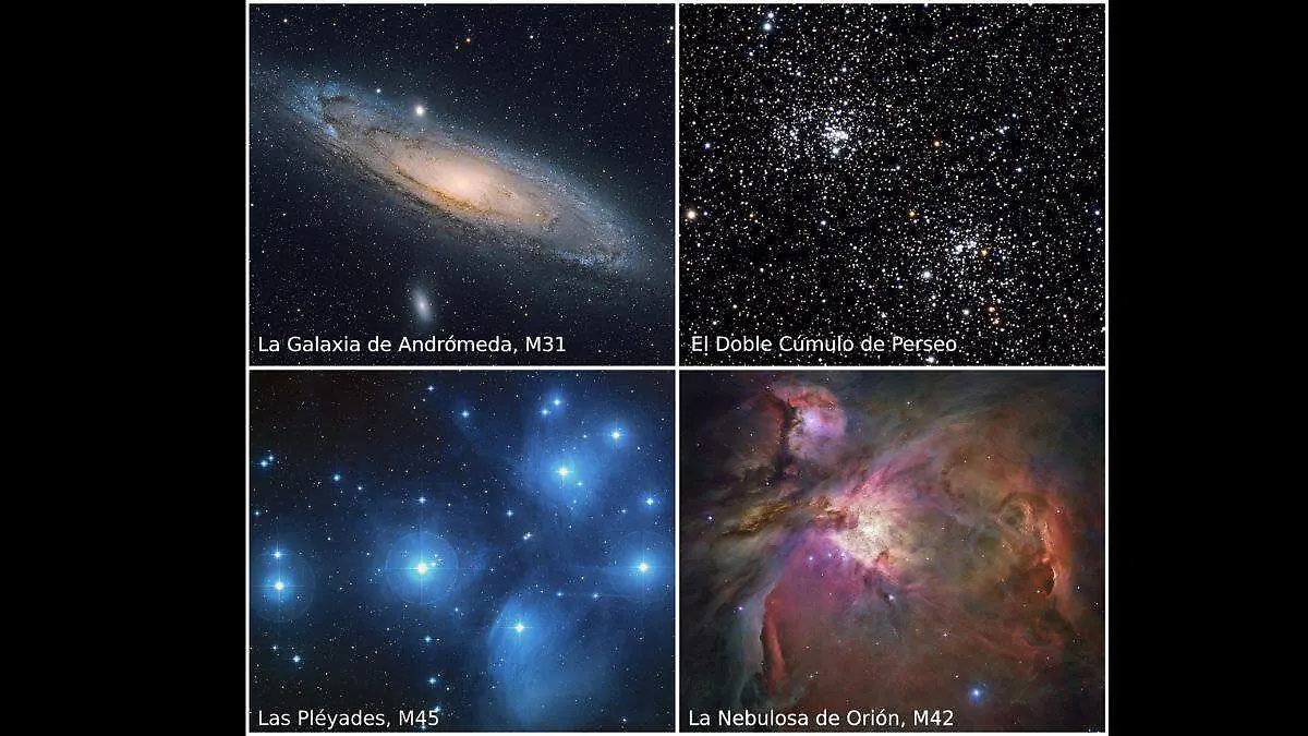 Noche de las Estrellas 2025 2