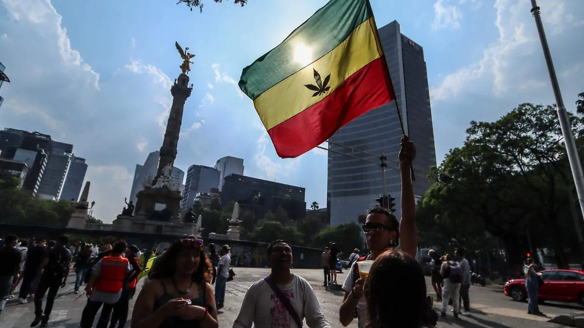 WhatsApp Image 2025-11-22 at 7.28.07 PM