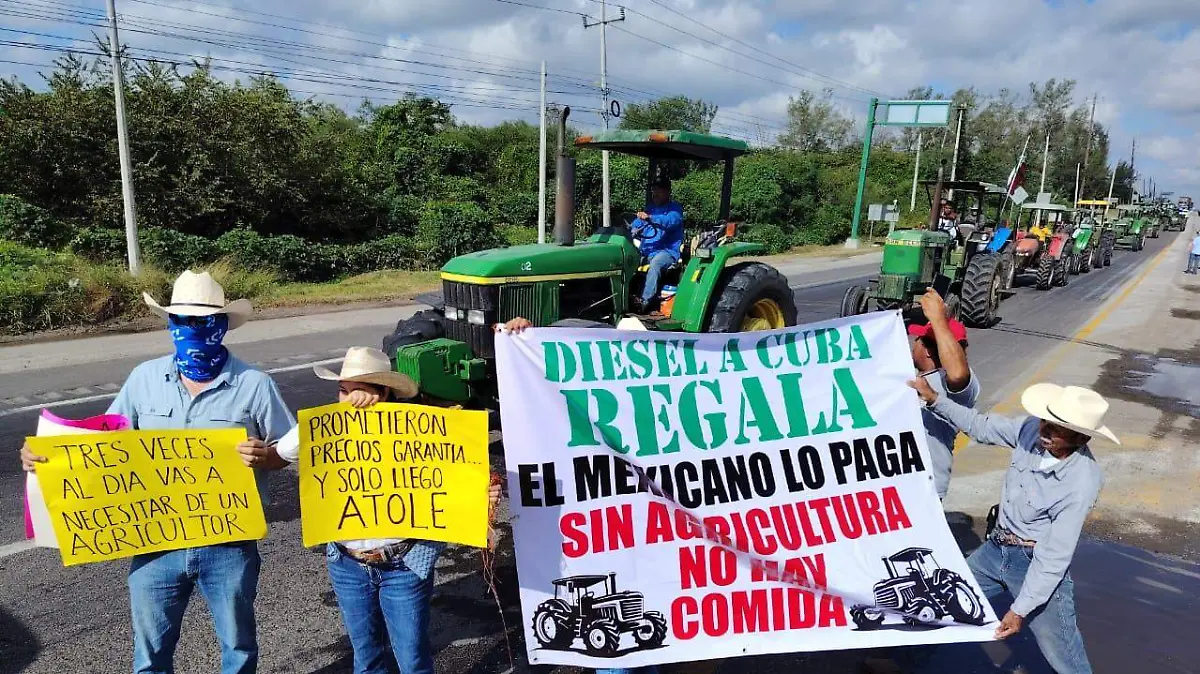 WhatsApp Image 2025-11-24 at 10.39.13 AM