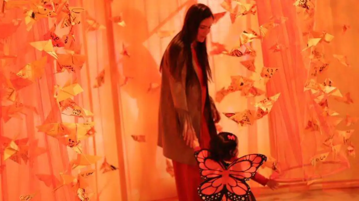 54932866499_0d52b8a309_c