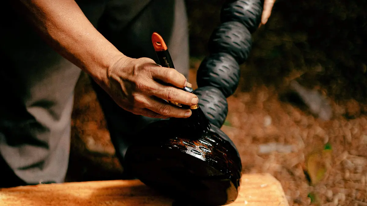 Artista Daniel Orozco