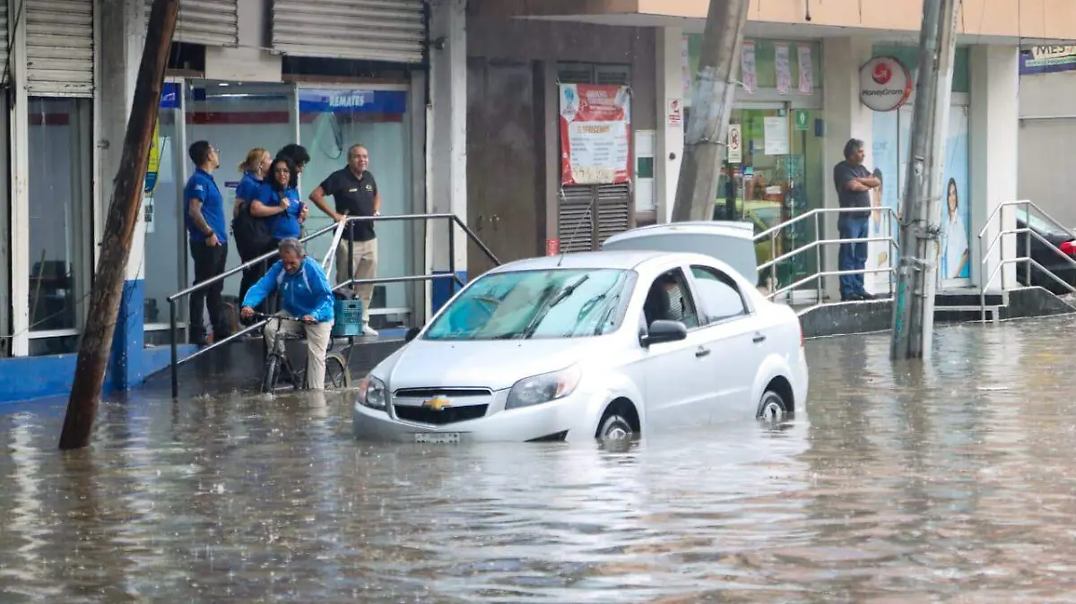 LLUVIAS ROMINA SOLIS (10)