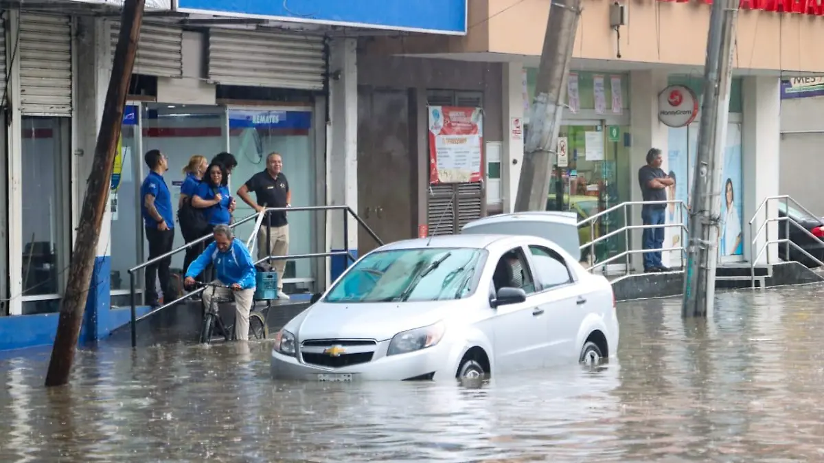 LLUVIAS ROMINA SOLIS (10)