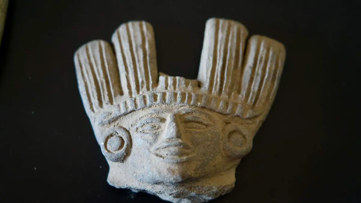 WhatsApp Image 2025-12-06 at 4.27.02 PM