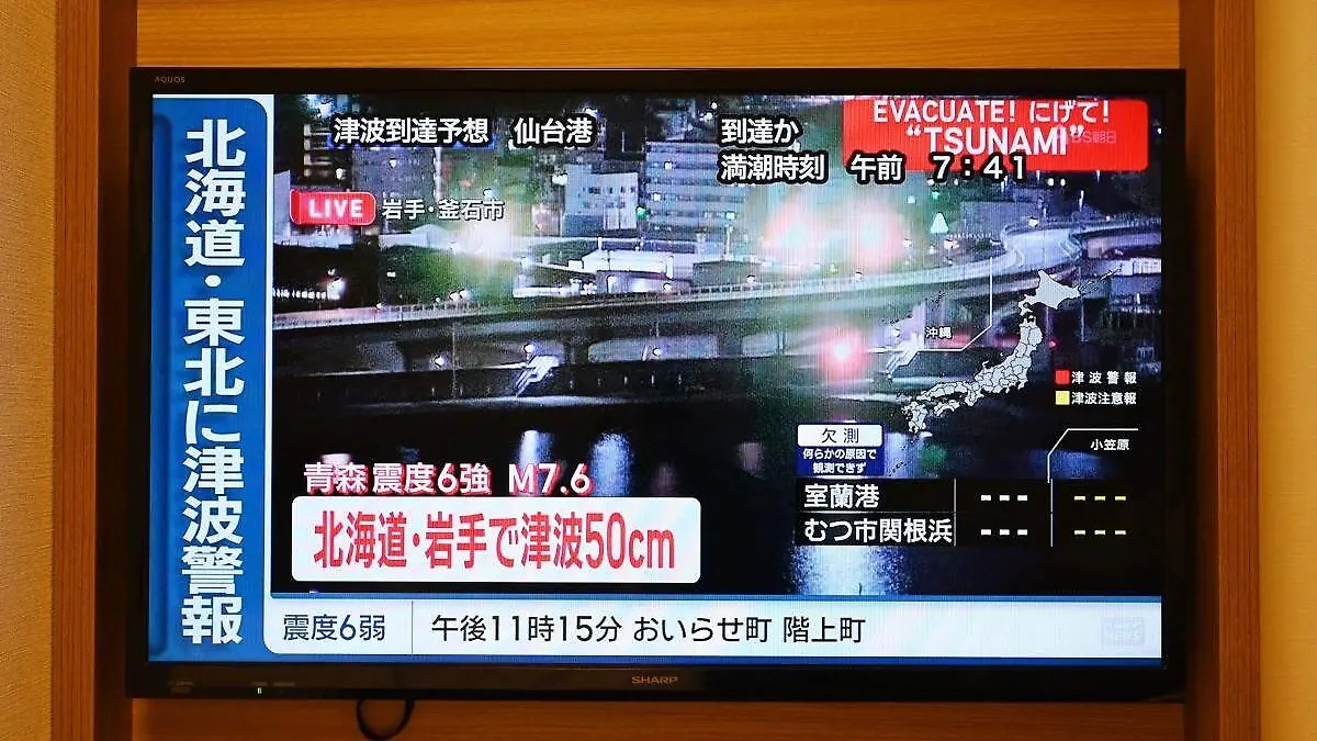 AFP__20251208__87FT4YN__v1__MidRes__JapanEarthquakeTsunami