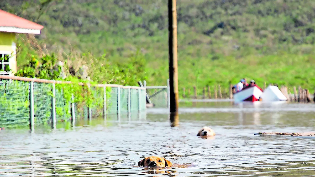 TP YEAR IN PHOTOS 2026 20 SPANISH-12_CMYK