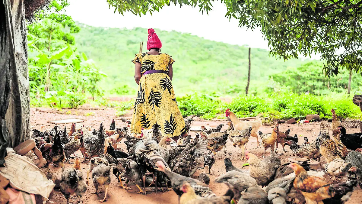 TP YEAR IN PHOTOS 2026 5 SPANISH-17_CMYK