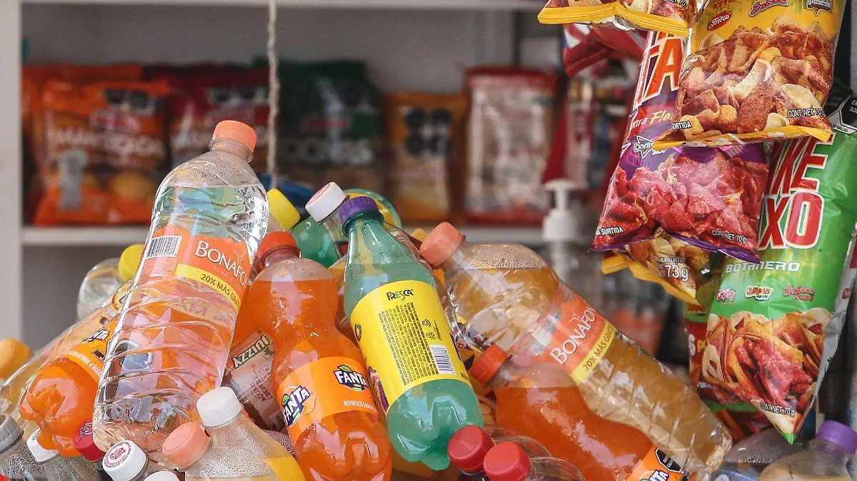 777863_Comida chatarra_web