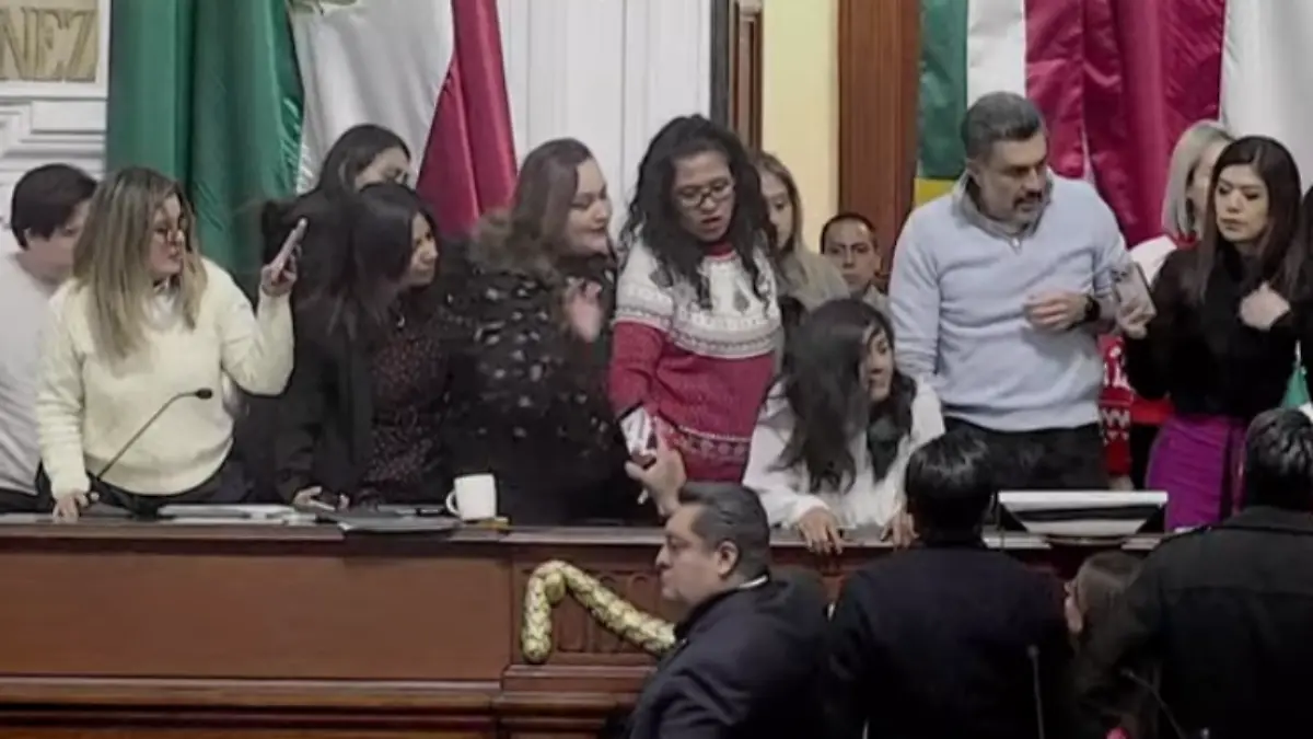 Captura de pantalla 2025-12-15 135426