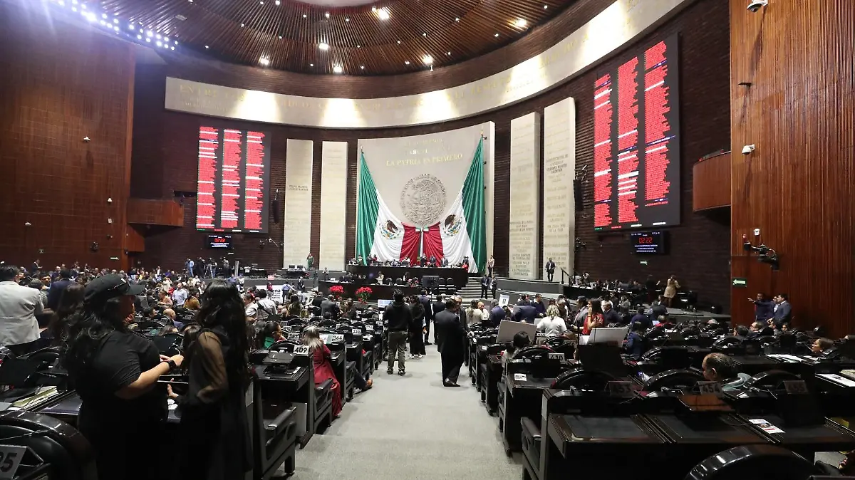 DIPUTADOS. LAURA LOVERA (34)