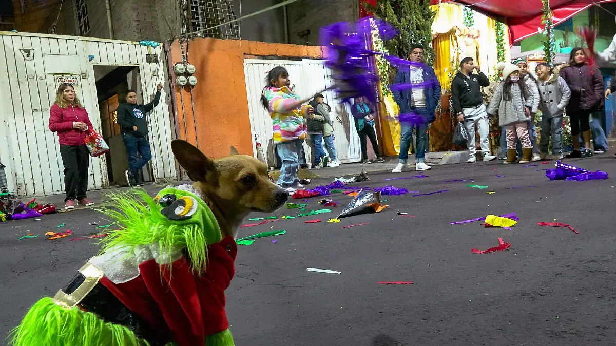 1011905_Posadas tradición que sobrevive_impreso