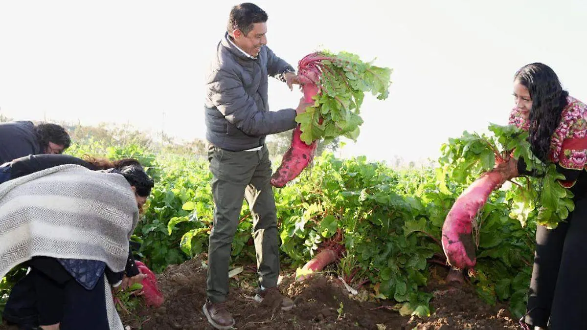 Diseño sin título (4)