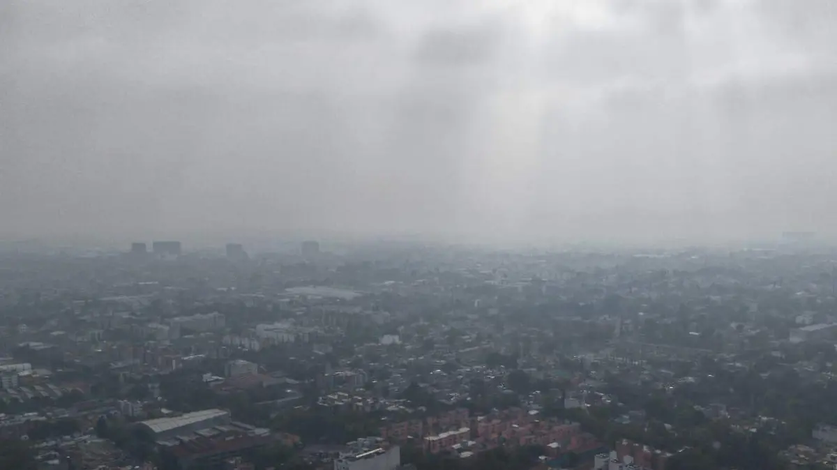 WhatsApp Image 2025-12-25 at 11.06.56 AM