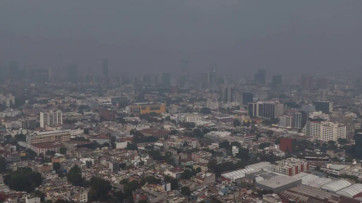 WhatsApp Image 2025-12-25 at 11.06.55 (1)