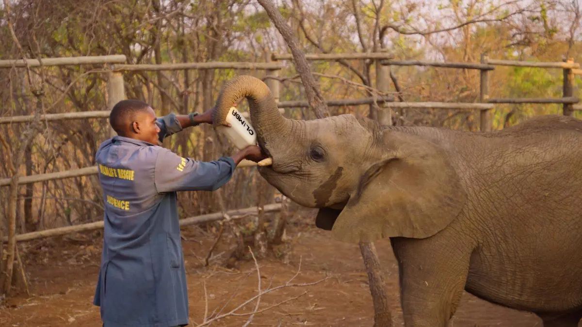 WhatsApp Image 2025-12-25 at 5.13.19 PM