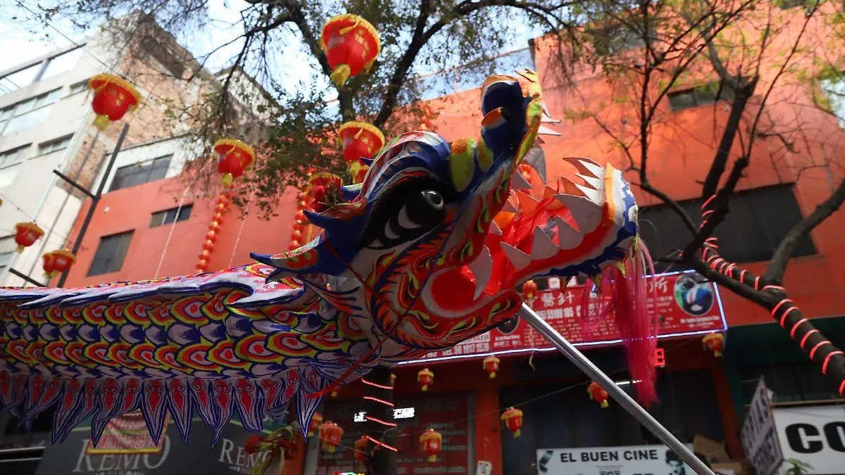 913564_Año del Conejo, barrio chino_web